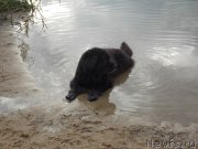 Превью фото № 129327