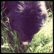 Превью фото № 129418