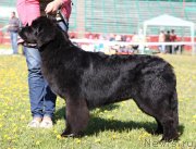 Превью фото № 129421