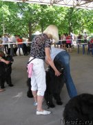 Превью фото № 129437