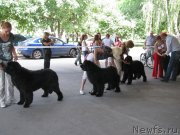 Превью фото № 129438