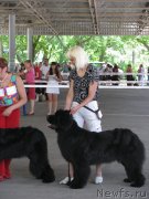 Превью фото № 129443