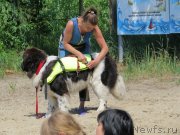 Превью фото № 129445