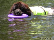 Превью фото № 129446