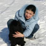 Превью фото № 12945