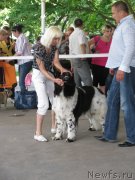 Превью фото № 129451