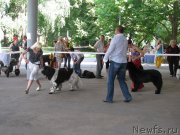 Превью фото № 129454