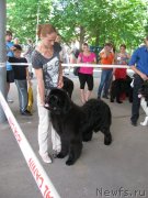 Превью фото № 129461