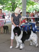 Превью фото № 129464