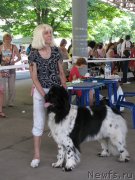 Превью фото № 129467