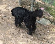 Превью фото № 129489