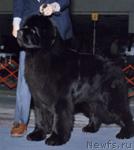 Превью фото № 12949