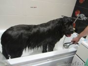 Превью фото № 129506