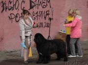 Превью фото № 129545