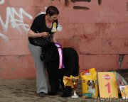 Превью фото № 129547