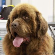 Превью фото № 129593