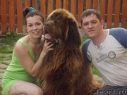 Превью фото № 129622