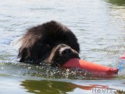 Превью фото № 129651