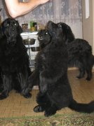 Превью фото № 129666