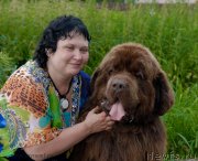 Превью фото № 129699