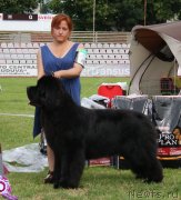 Превью фото № 129806