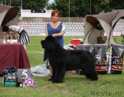 Превью фото № 129810