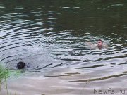 Превью фото № 129838