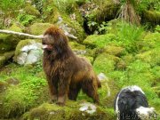 Превью фото № 129853