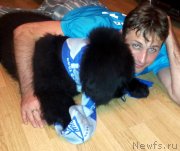 Превью фото № 129924