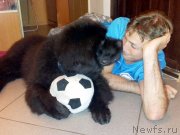 Превью фото № 129925