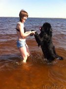 Превью фото № 129932