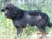 Превью фото № 129936