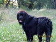 Превью фото № 129939