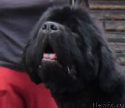 Превью фото № 129993