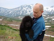 Превью фото № 130029