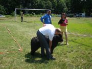 Превью фото № 130040