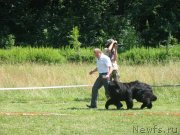 Превью фото № 130042