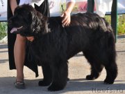 Превью фото № 130072