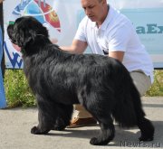 Превью фото № 130079