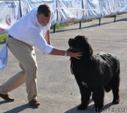 Превью фото № 130080