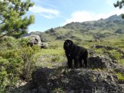 Превью фото № 130135