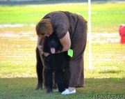 Превью фото № 130192