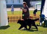 Превью фото № 130210