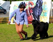 Превью фото № 130218