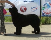 Превью фото № 130280