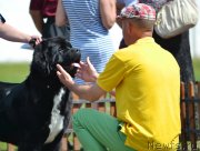 Превью фото № 130301