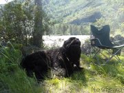 Превью фото № 130314