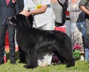 Превью фото № 130316