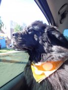 Превью фото № 130340