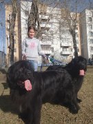 Превью фото № 130348